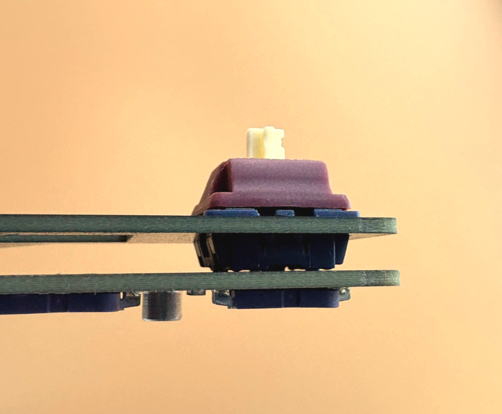 Switch PCB Side View