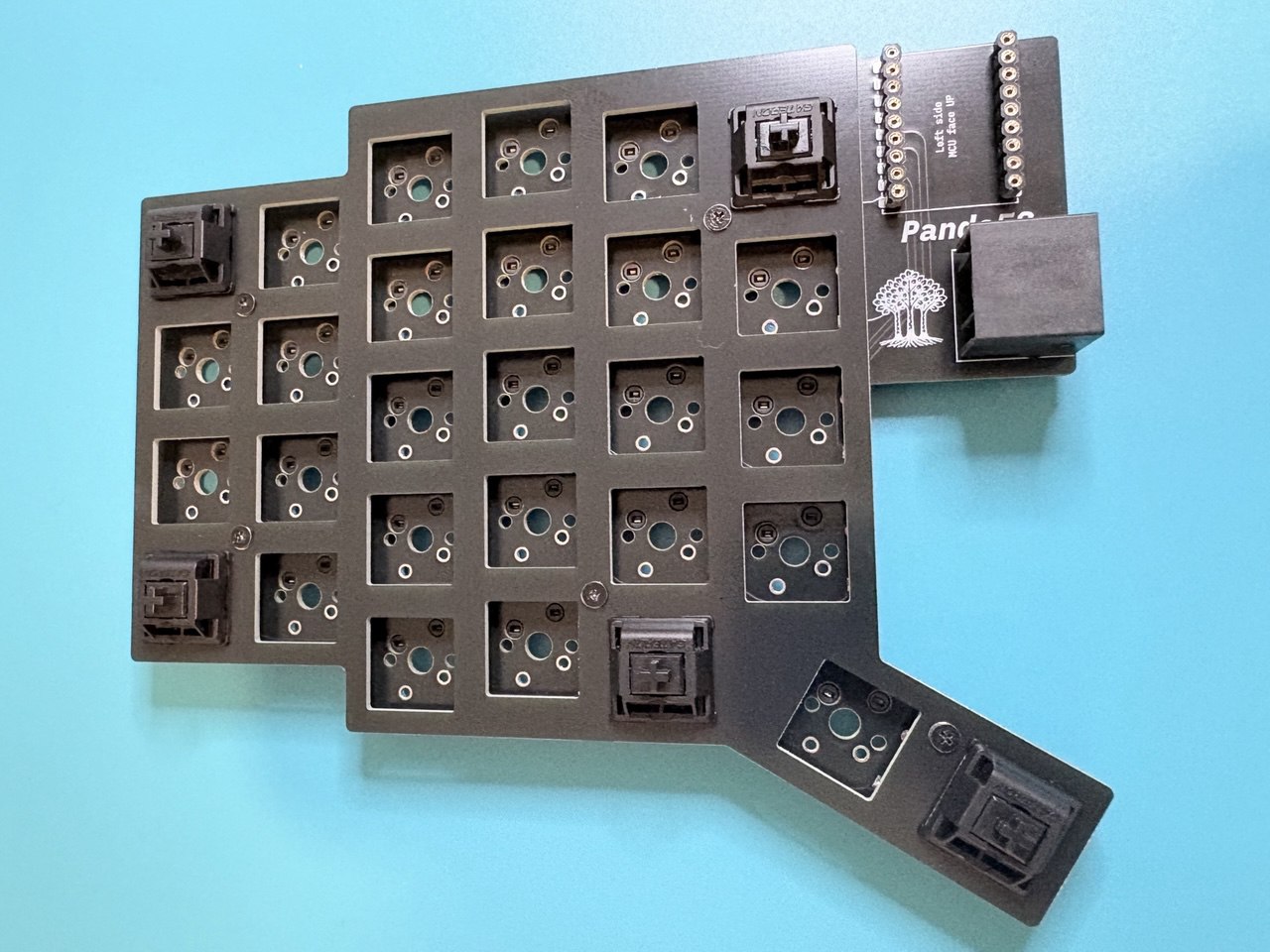 Switches Inserted into PCB